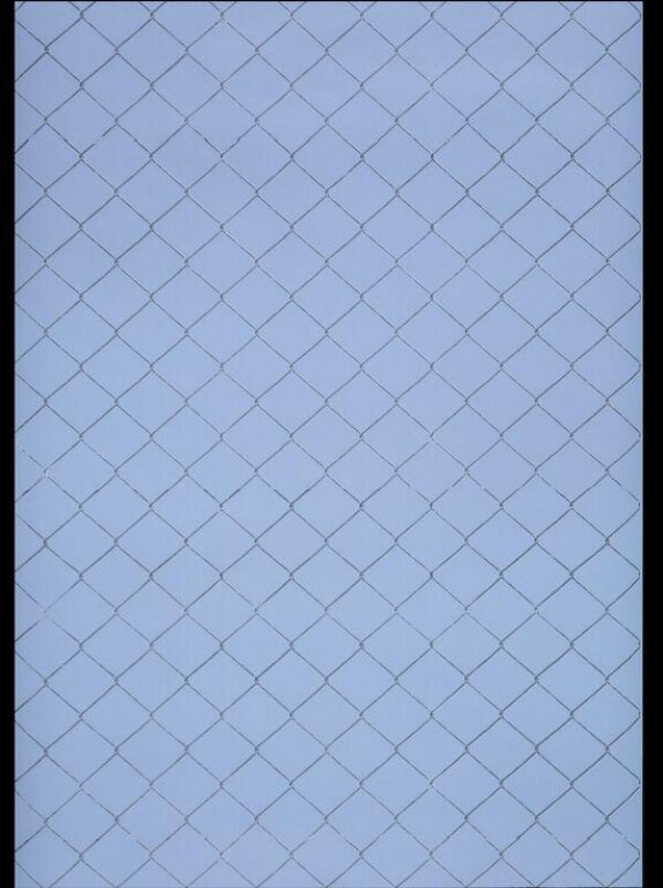 Chain-link fence wallpaper | Hecht, Lisa | V&A Explore The Collections