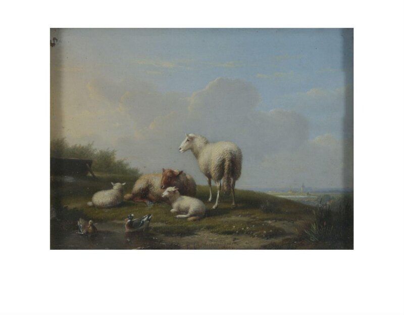 Landscape with sheep and ducks