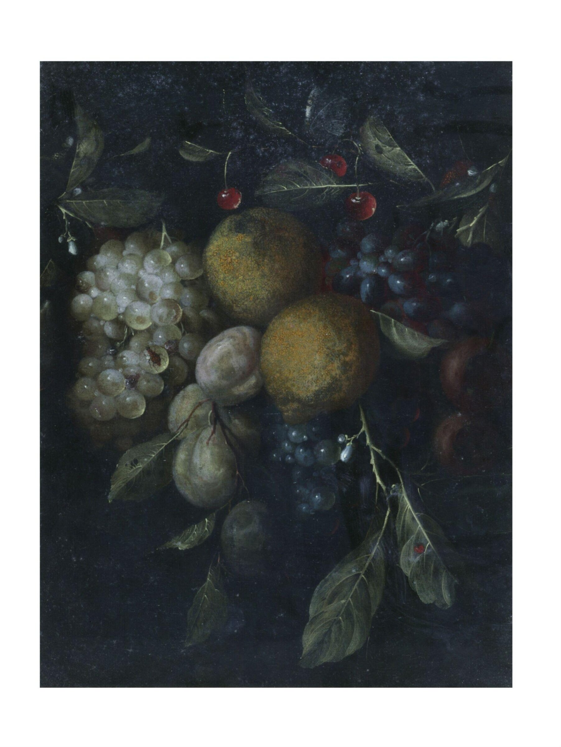 Fruit piece with lemons, grapes, plums and cherries, Jan Davidsz. de Heem, ca. 1650