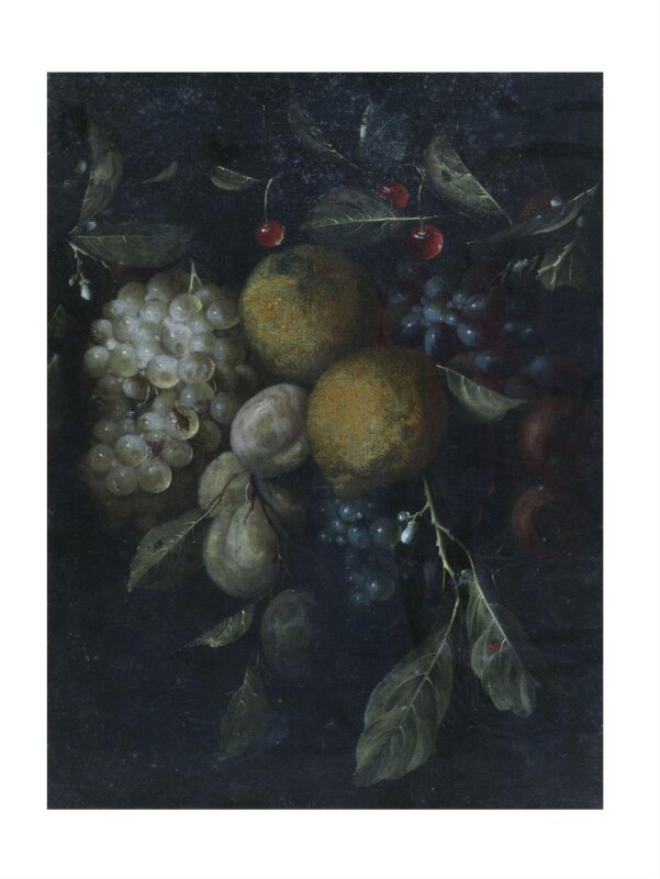Fruit piece with lemons, grapes, plums and cherries