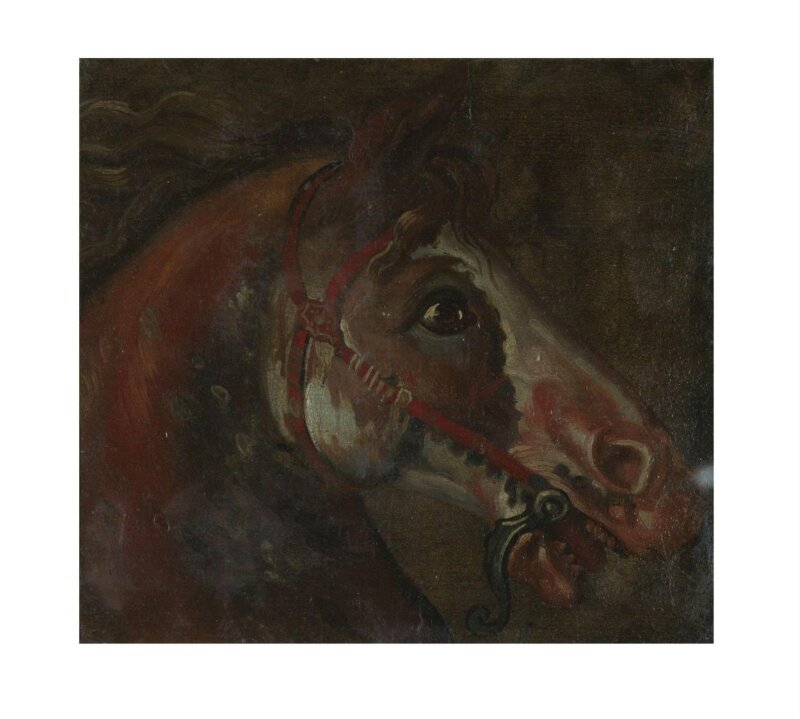 Study of a Horse's Head