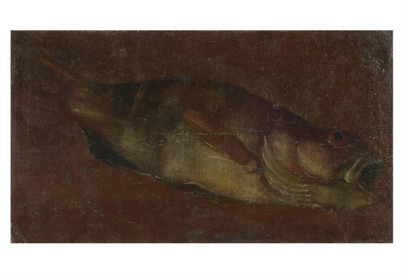 Study of a Fish