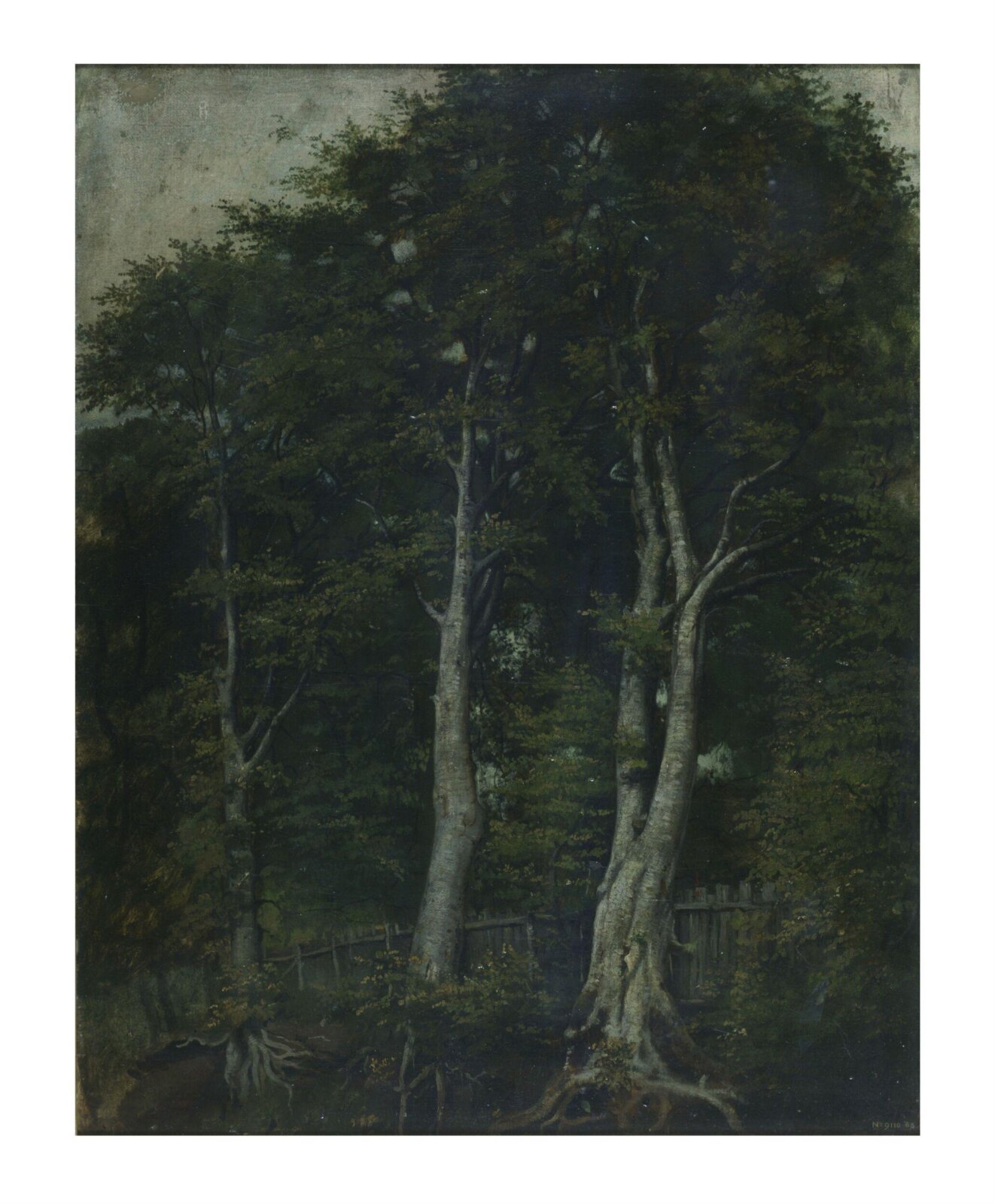 Beech Trees, Alfred Clint, 1830-1863