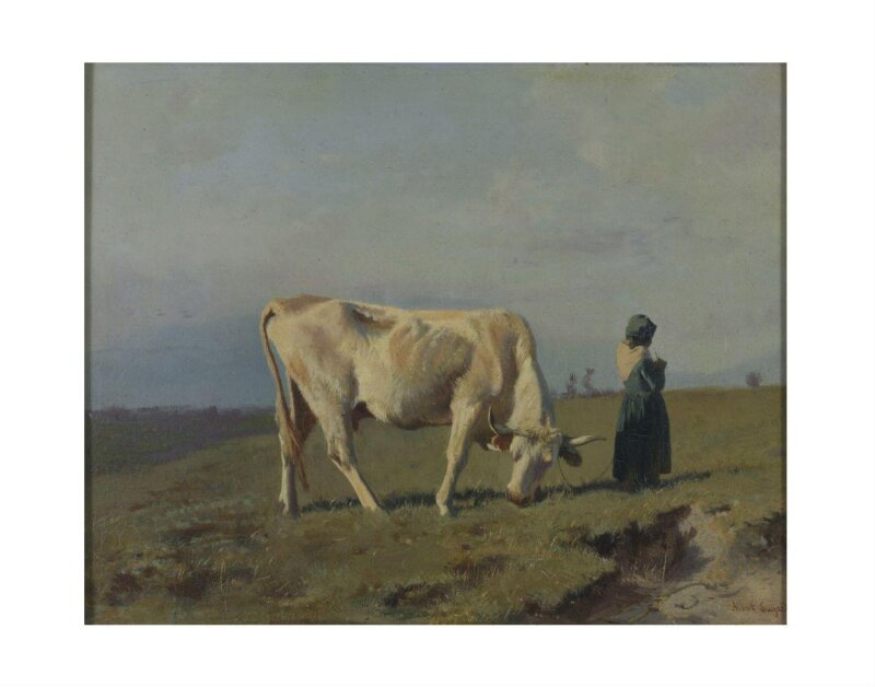 The White Cow