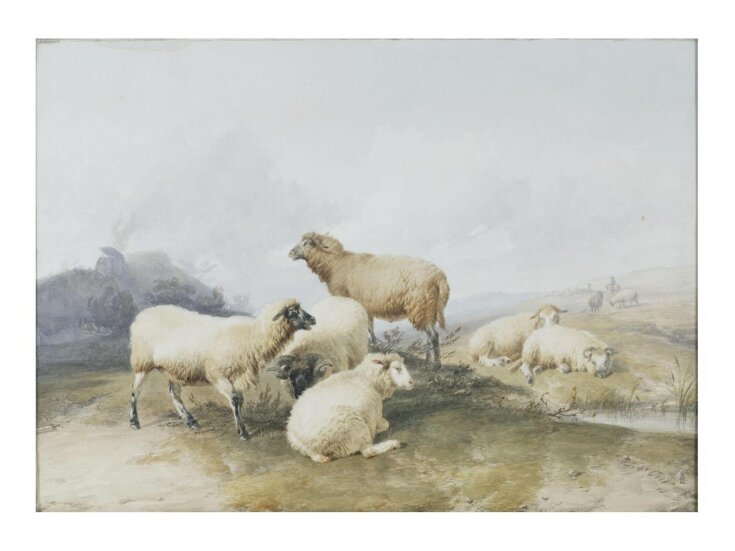 Sheep in a Landscape top image