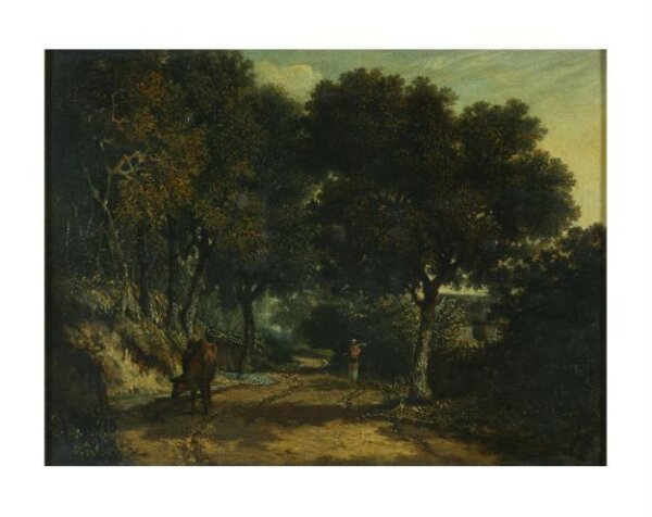 A Shady country road