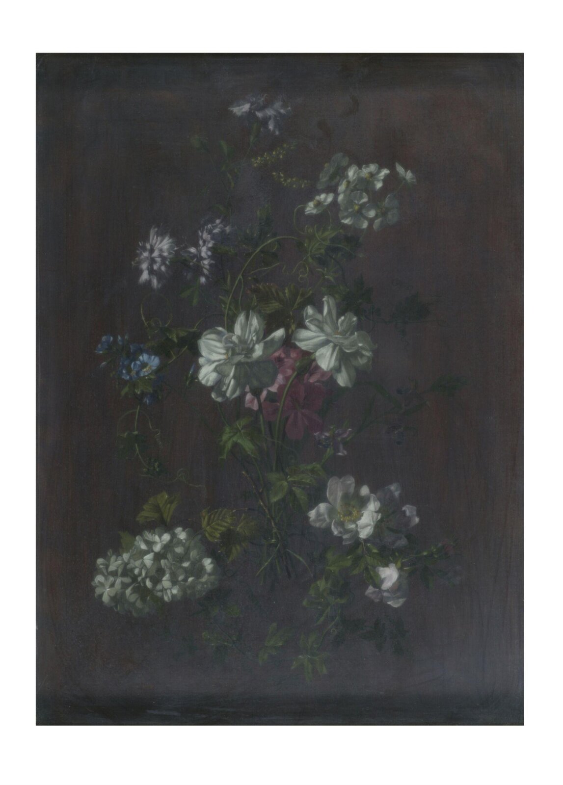 A Study of Flowers, George Wallis, 1846