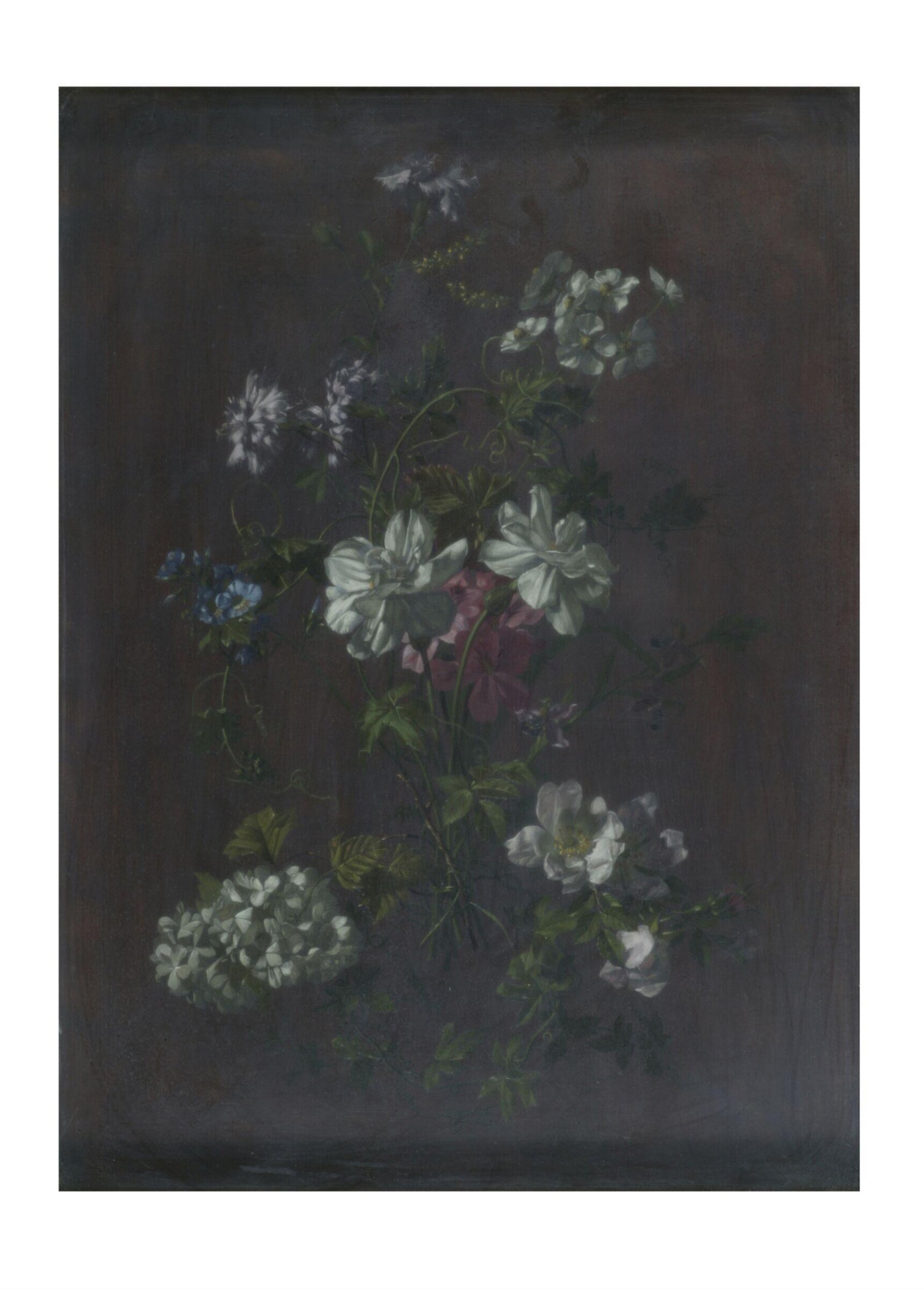 A Study of Flowers, George Wallis, 1846