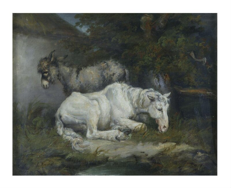 Horse and donkey