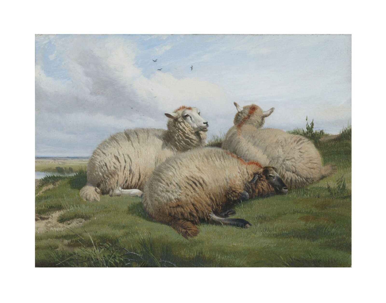 Sheep, Thomas Sidney Cooper, 1866