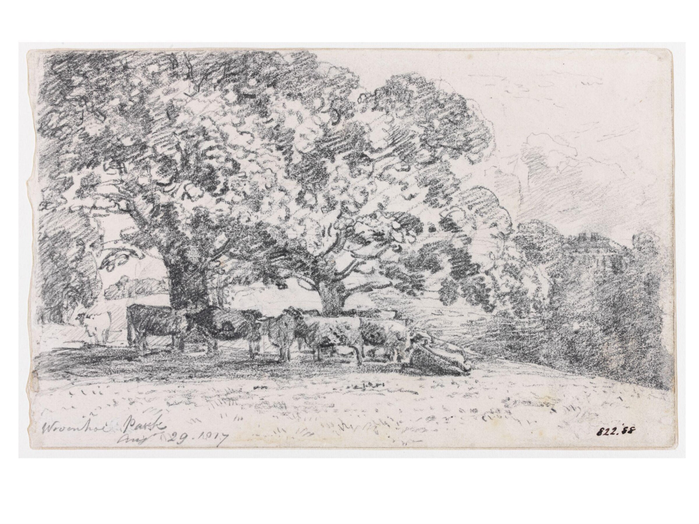 Wivenhoe Park, Constable, 1817, August 29