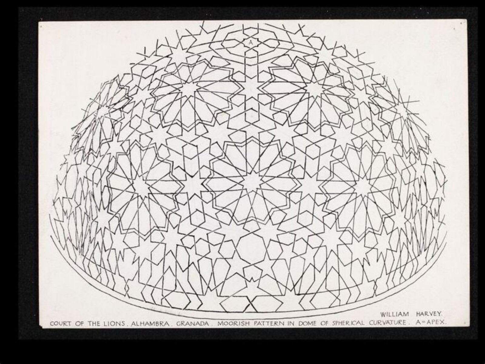 Drawing, William Harvey, 1913 - 1915