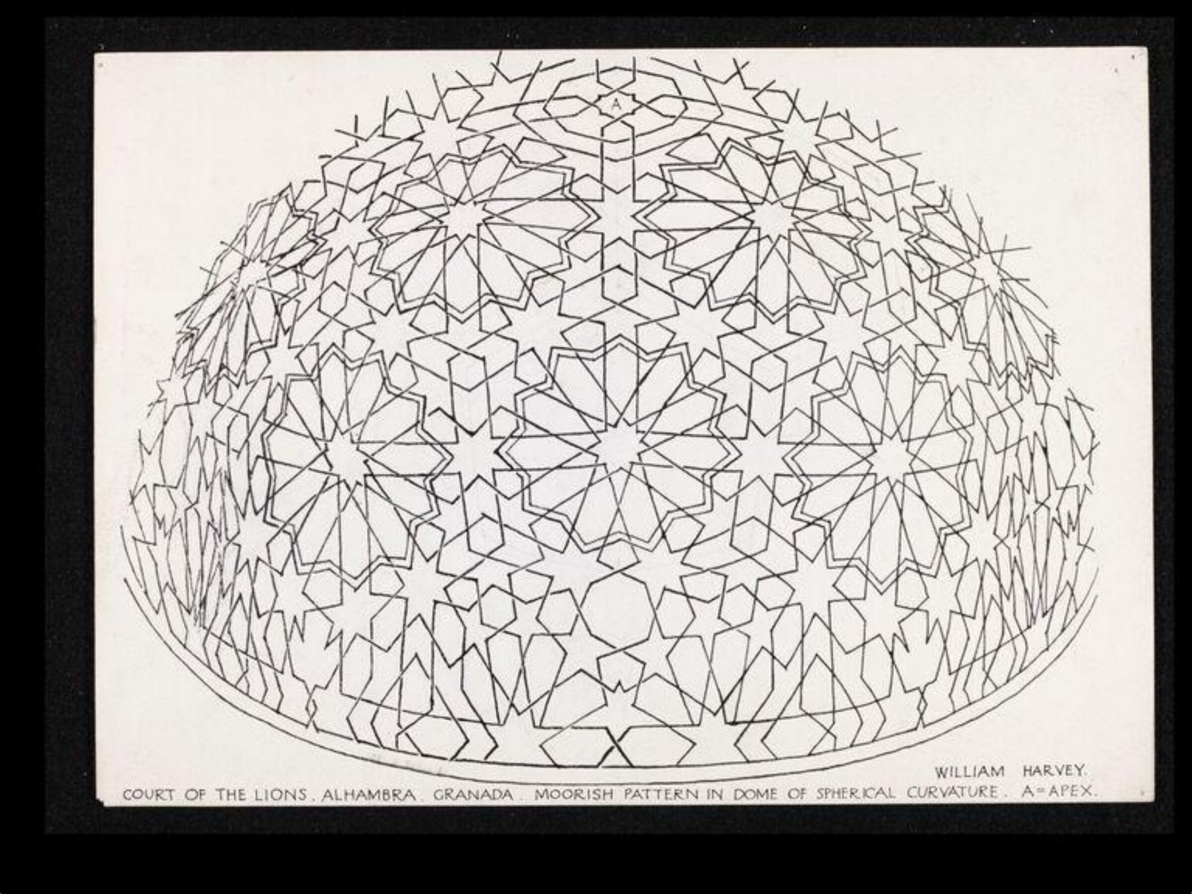 Drawing, William Harvey, 1913 - 1915
