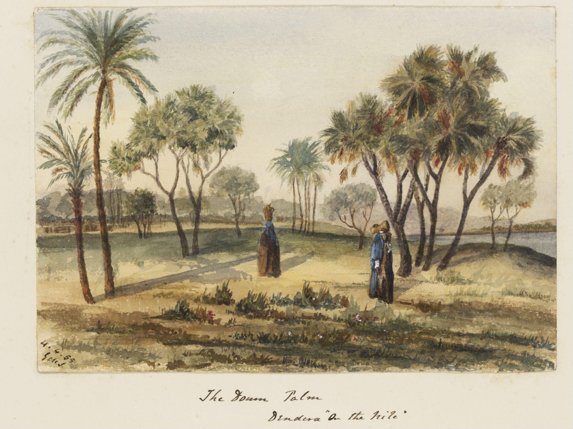 `The Doum Palm  Dendera "On the Nile", George de Sausmarez, 1855