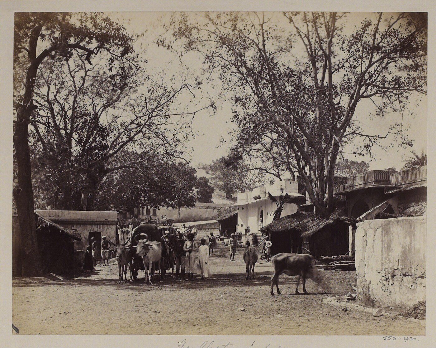 Unknown, Photograph