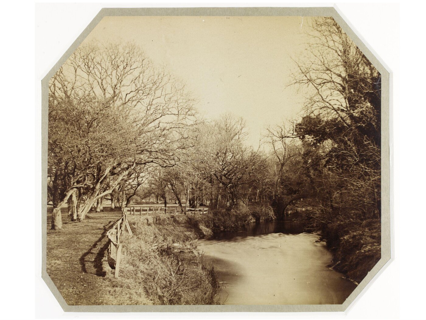 Clementina, Lady Hawarden, Photograph