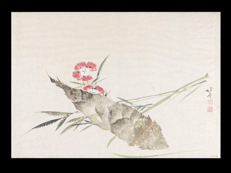 Bamboo Shoot
