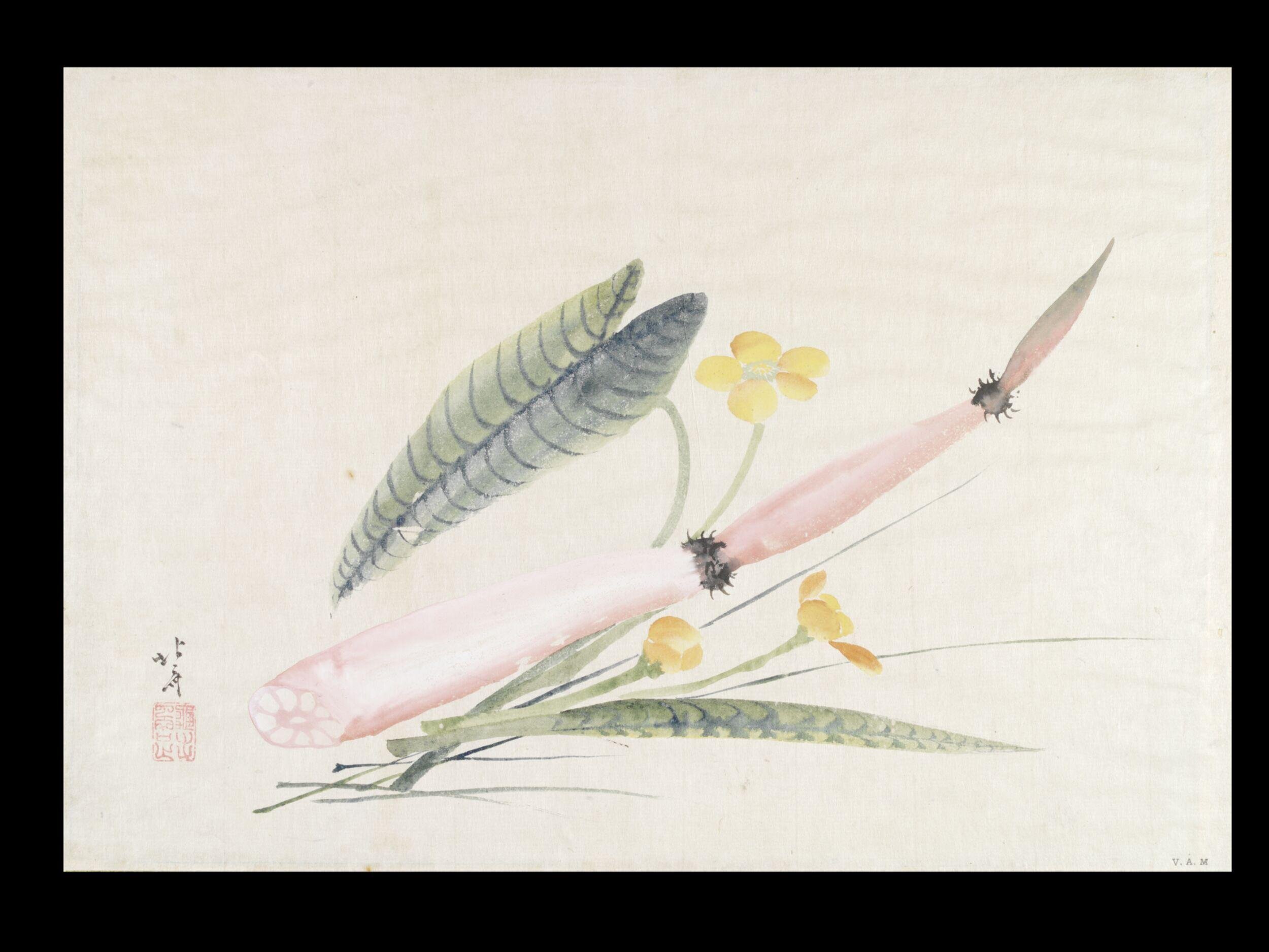 Lotus Root and Spatterdocks by Katsushika Hokusai