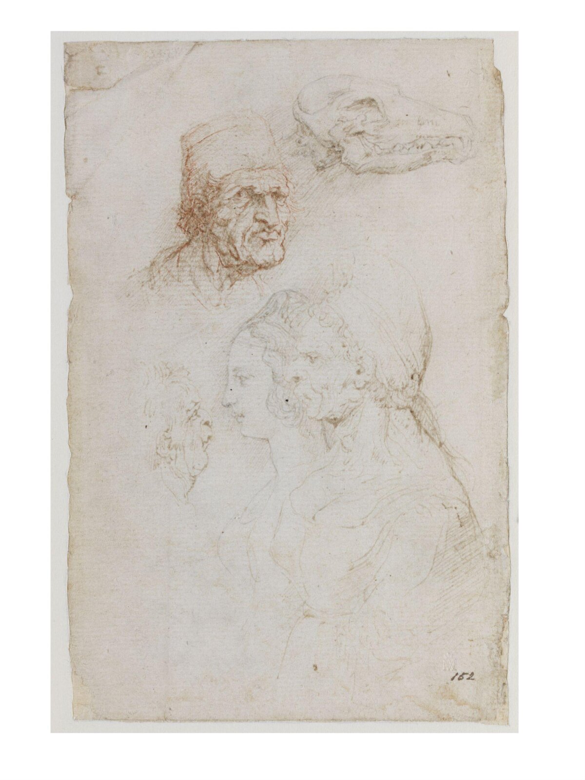 Drawing, Leonardo da Vinci, late 16th century
