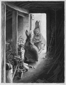 The rabbit's potting shed thumbnail 1