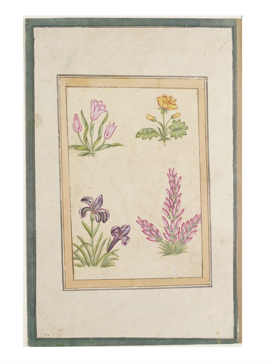 Unknown, Painting