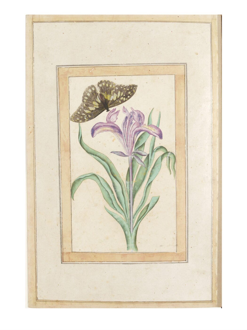 Unknown, Painting