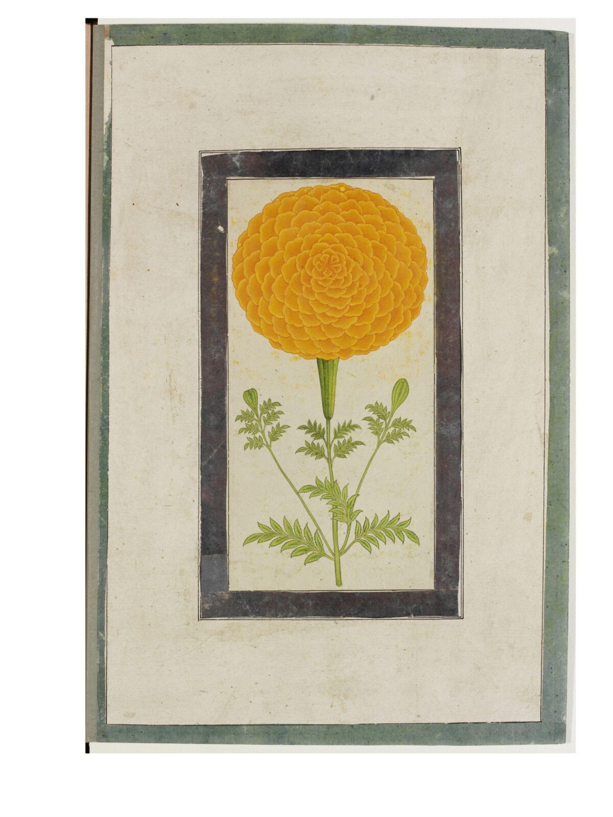 Painting, eighteenth century
