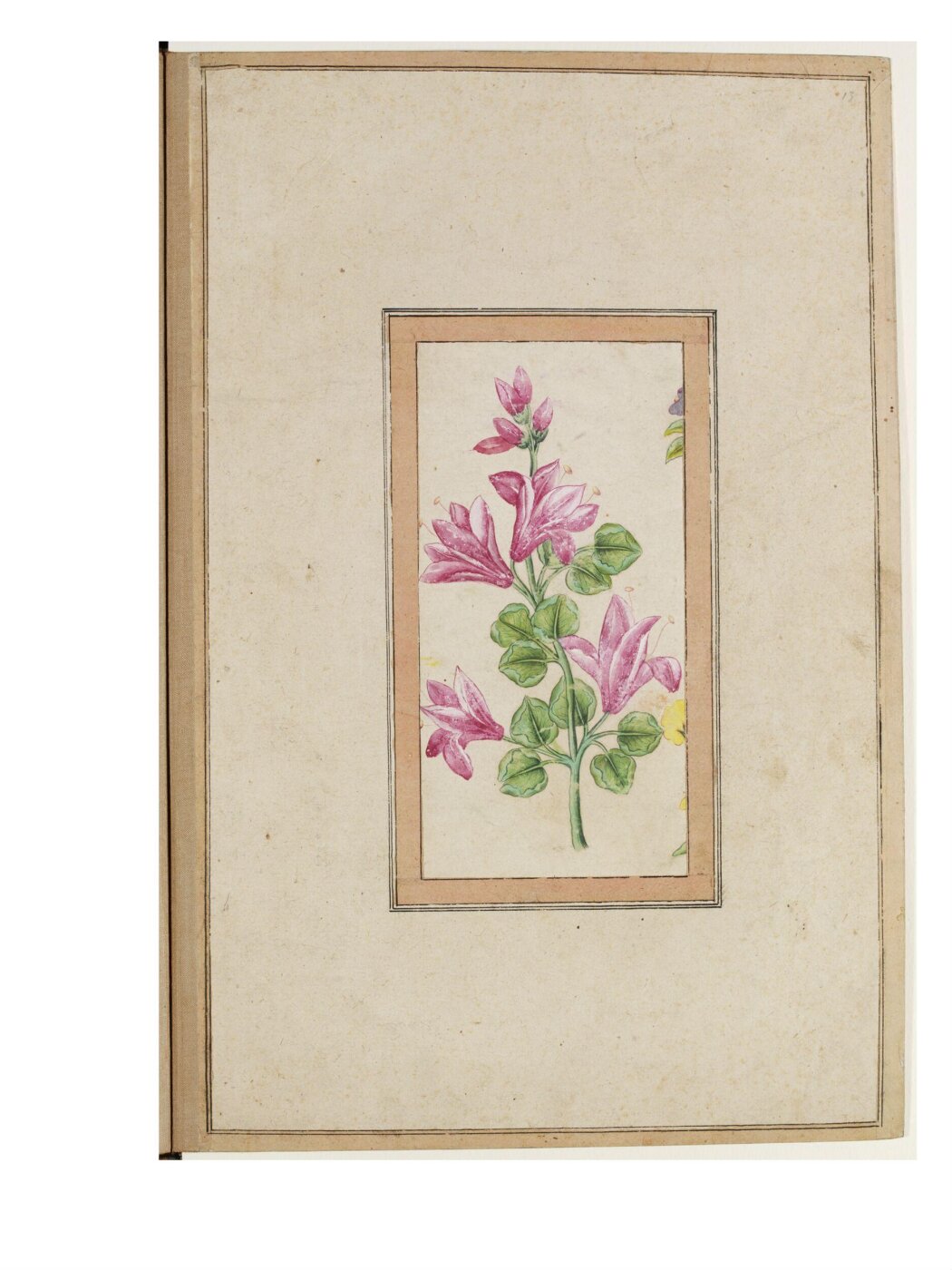 Unknown, Painting