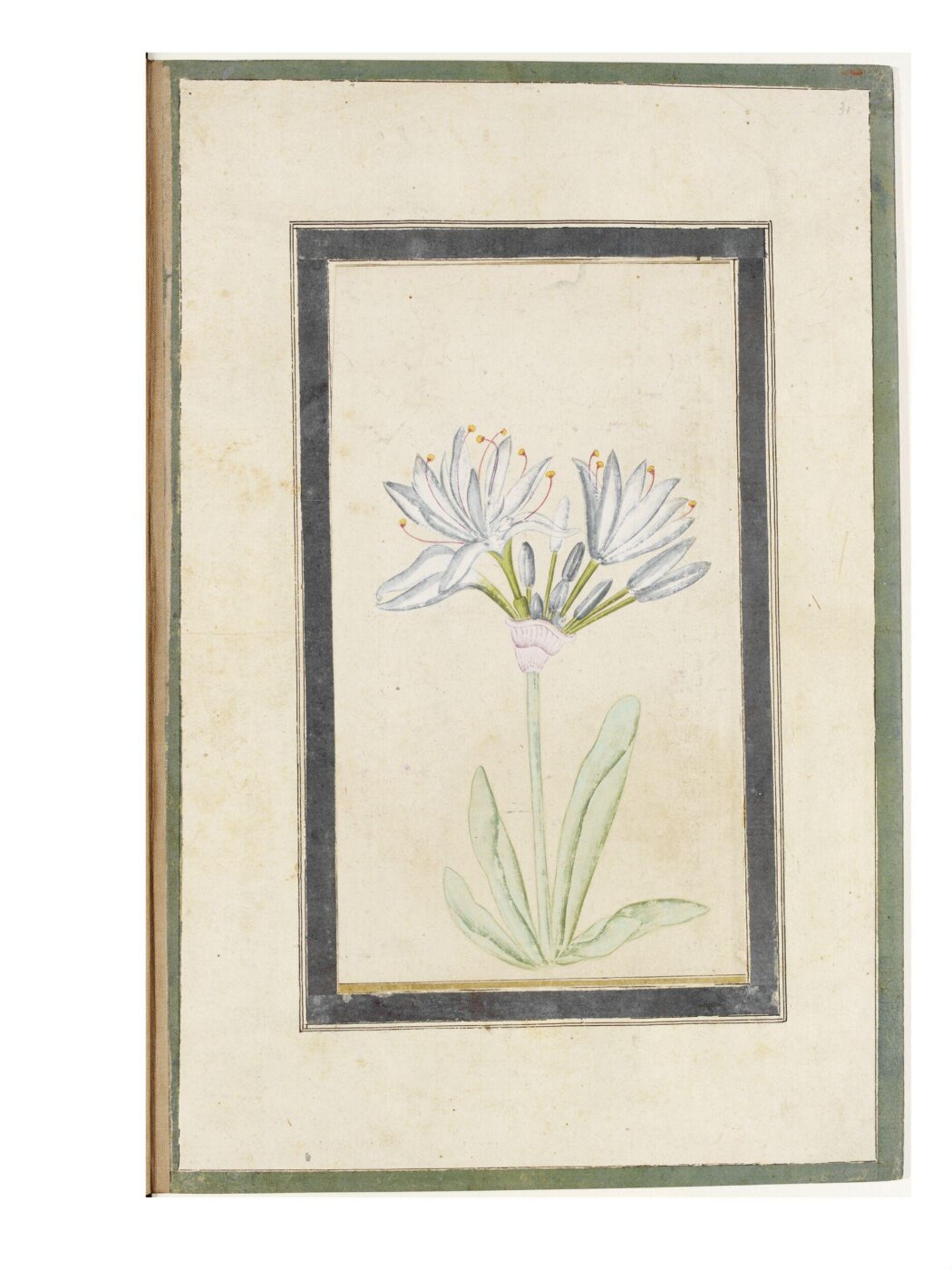 Unknown, Painting