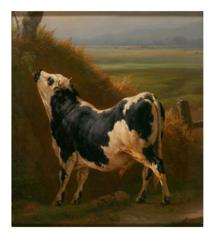 A Bull in a Normandy Pasture top image