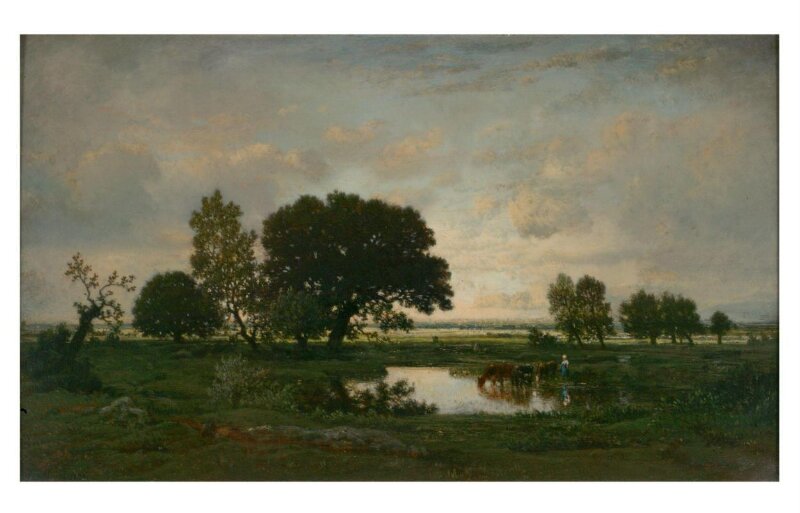 The Pond
