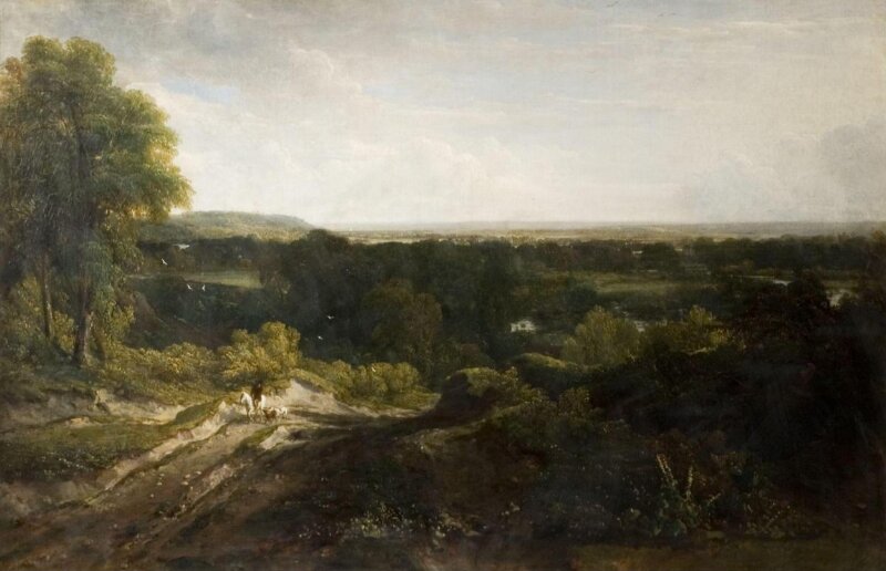 Wooded landscape