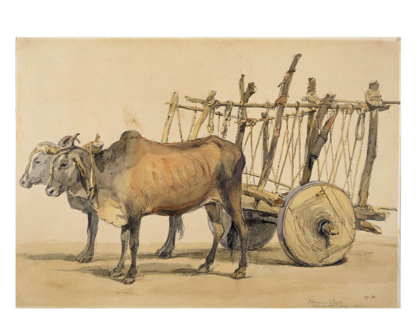 Deccani bullock cart, William Carpenter, July 1850