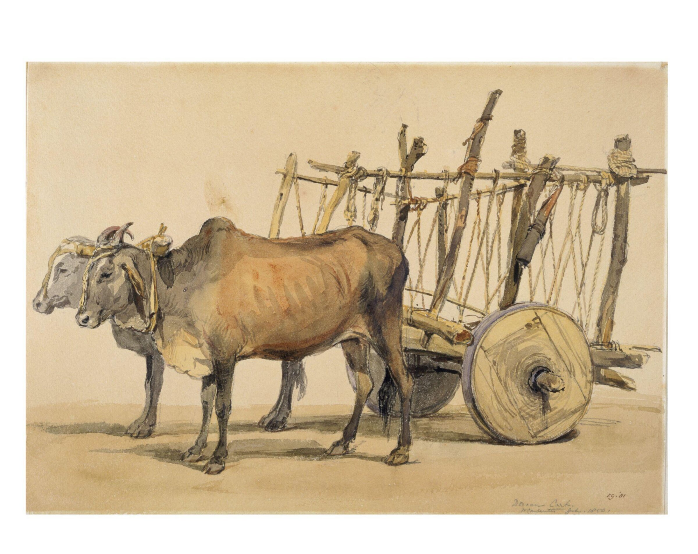Deccani bullock cart, William Carpenter, July 1850