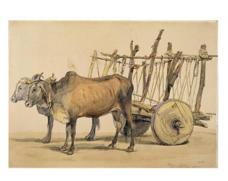 Deccani bullock cart