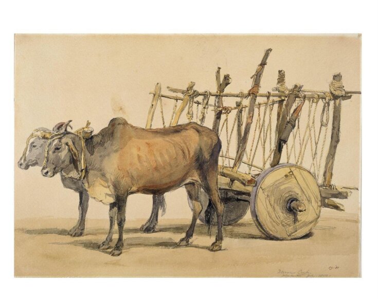 Deccani bullock cart top image