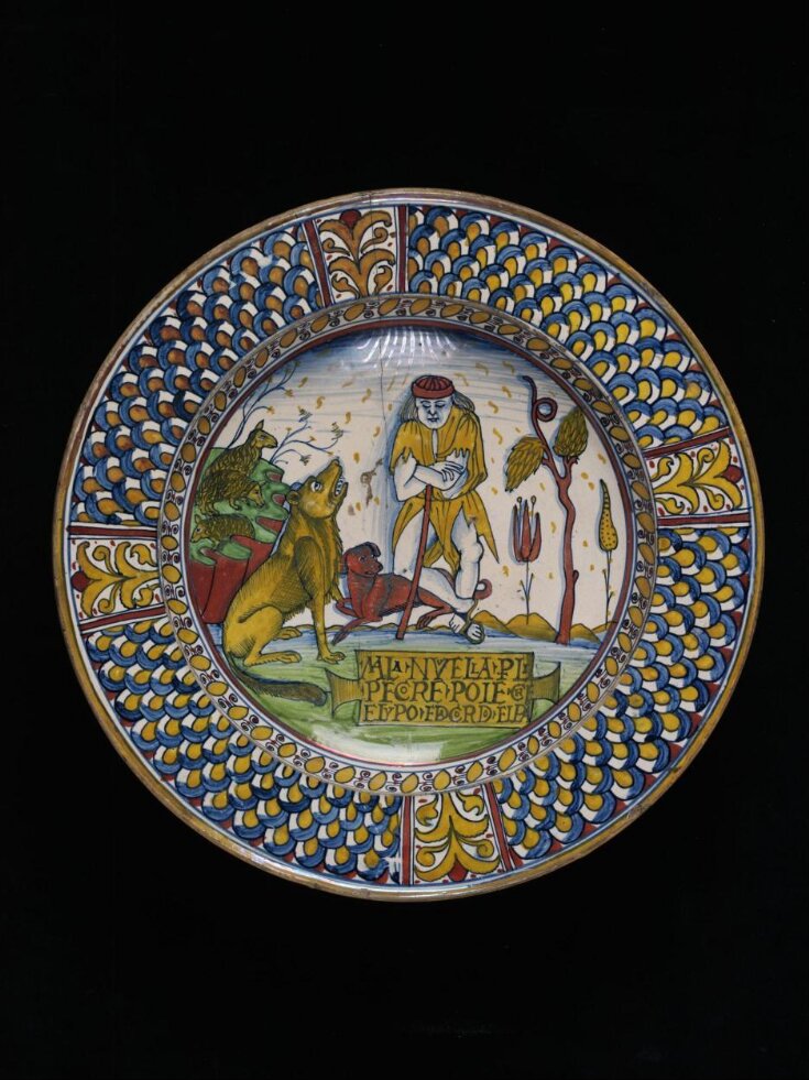 Dish top image