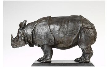 rhinoceros playwright