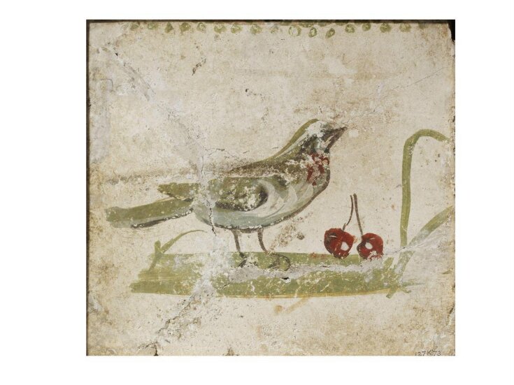 Bird standing on the ground with fruit top image