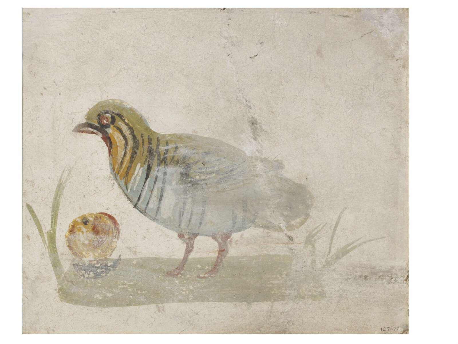 Bird standing on the ground with fruit, 2nd century
