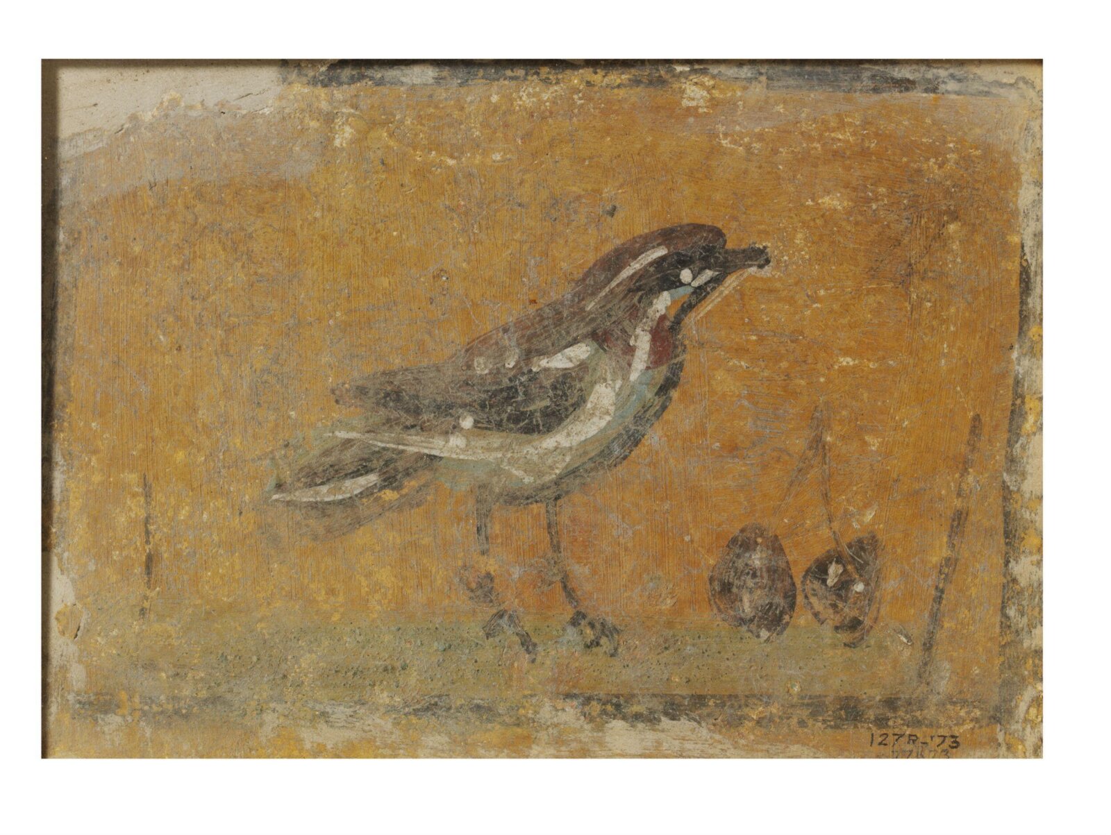 Bird standing on the ground with fruit, 2nd century