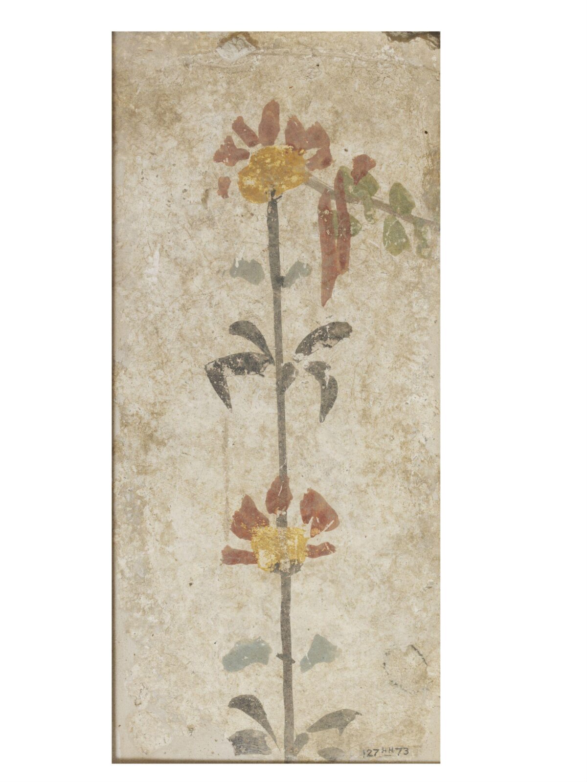 Flower stem, 2nd century