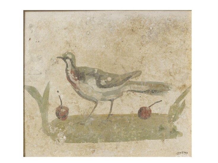 Bird standing on the ground with fruit top image
