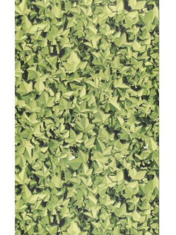 ivy leaves - Search Results | V&A Explore the Collections