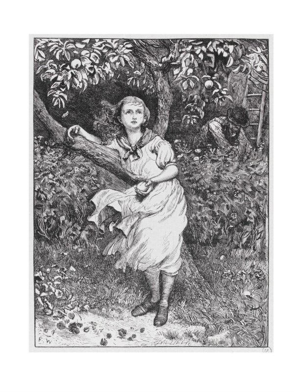 Wood Engraving V&A Explore The Collections