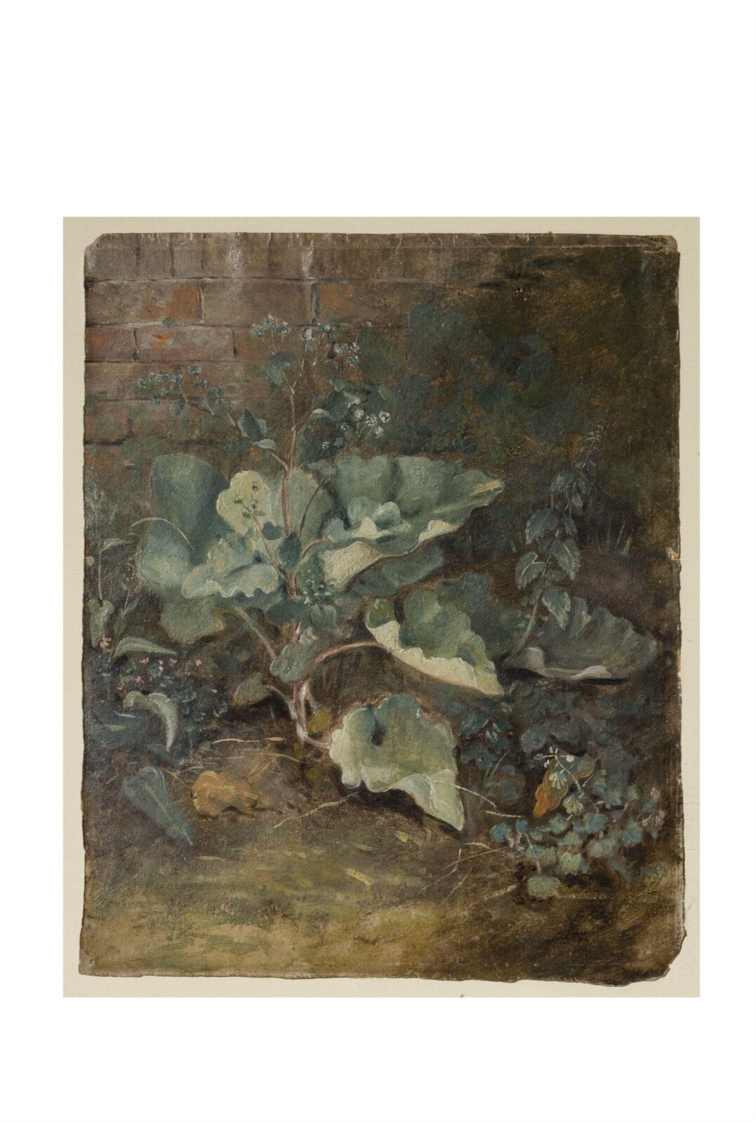 Plants growing near a wall, John Constable, ca. 1820 - ca. 1830