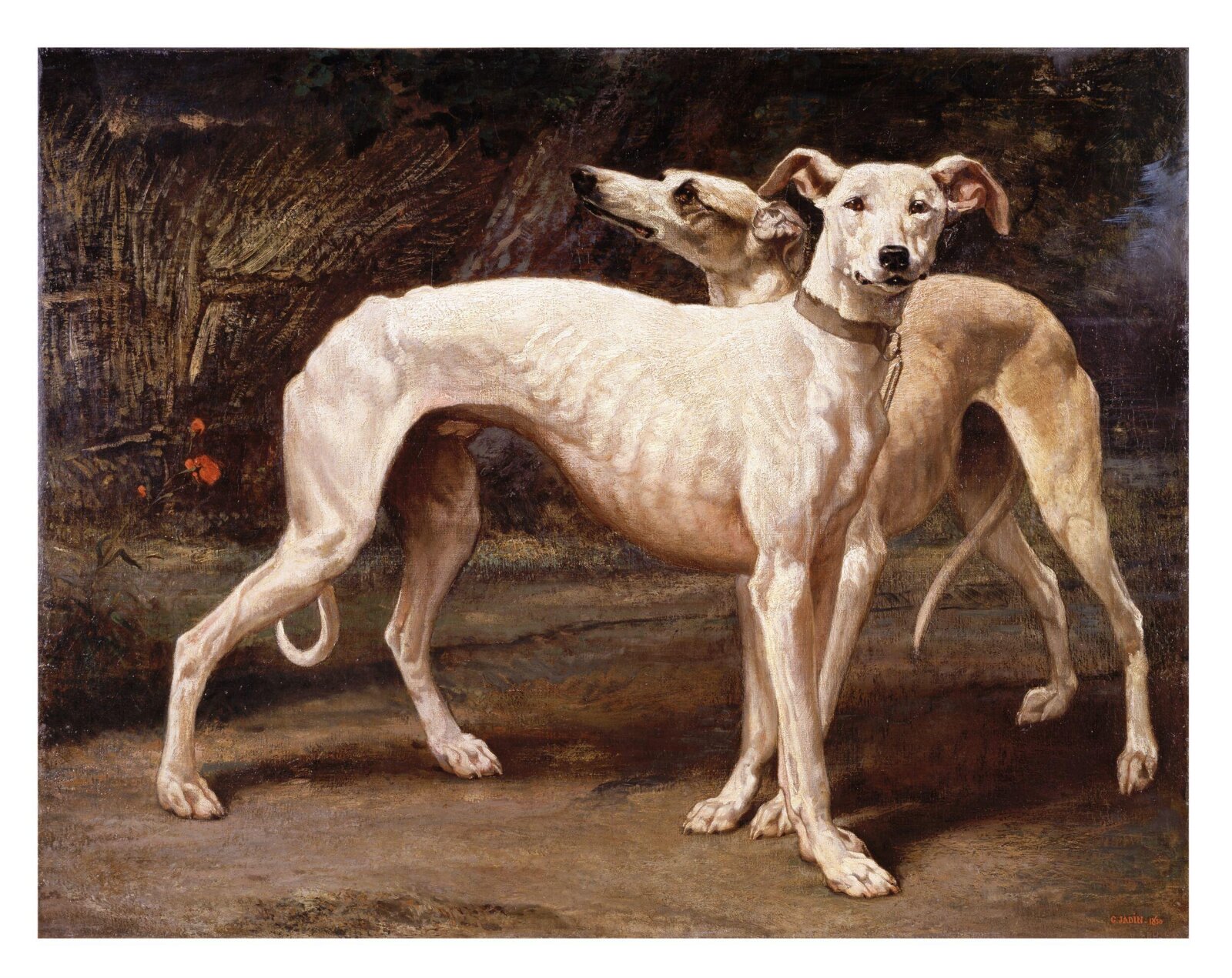 Two greyhounds, Louis Godefroy Jadin, 1850