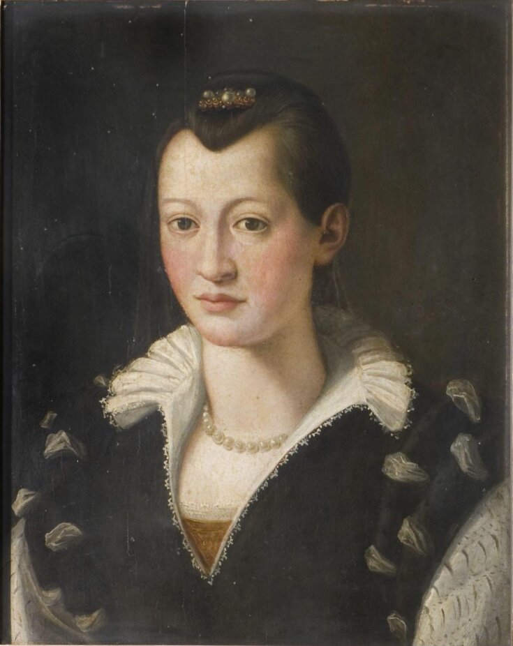 Portrait of Isabella de Medici top image