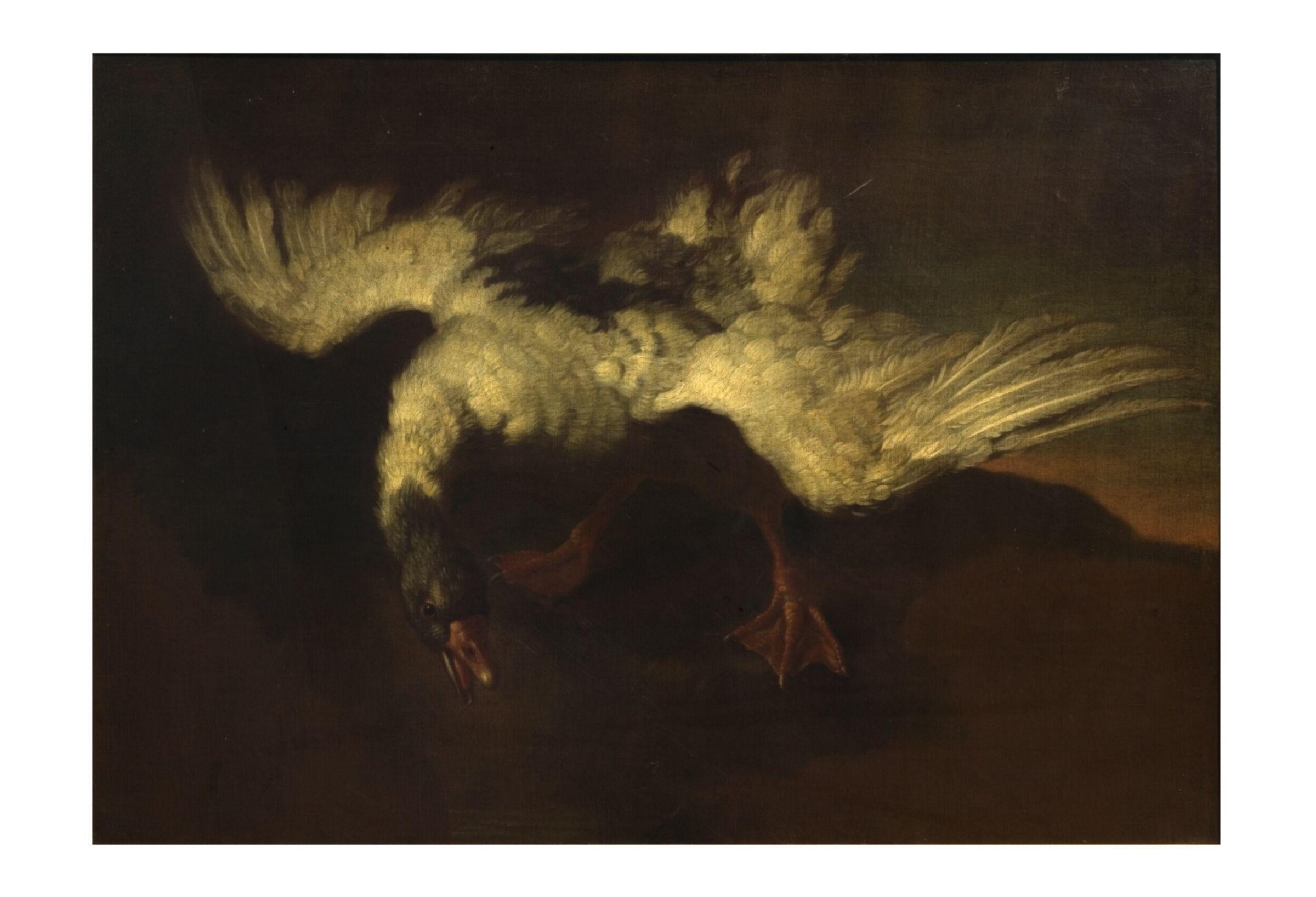 Goose with Outspread Wings, George Stubbs, late 18th century