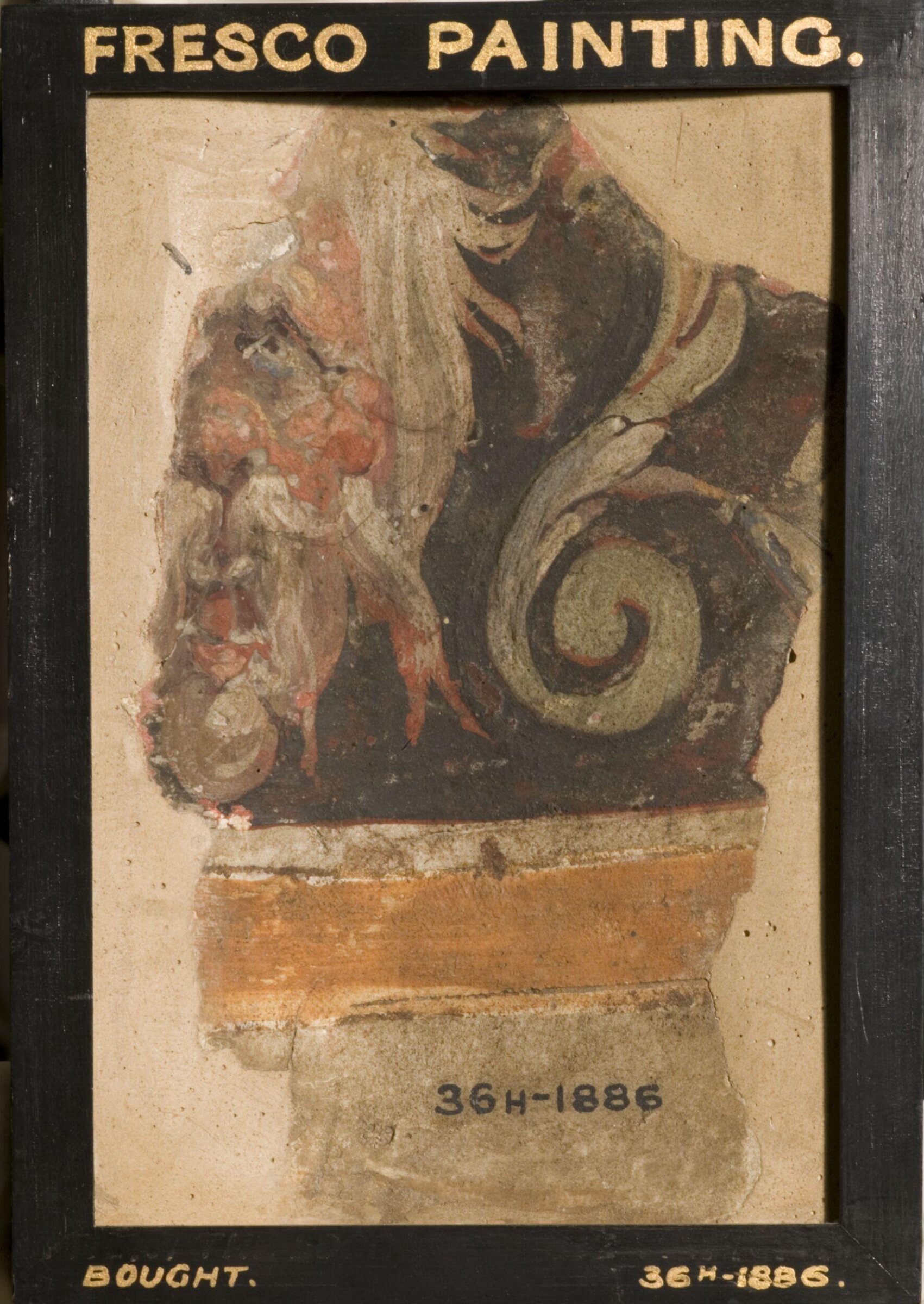 Decorative Pattern (fragment of wall decoration), Giovanni da Udine, mid 16th century